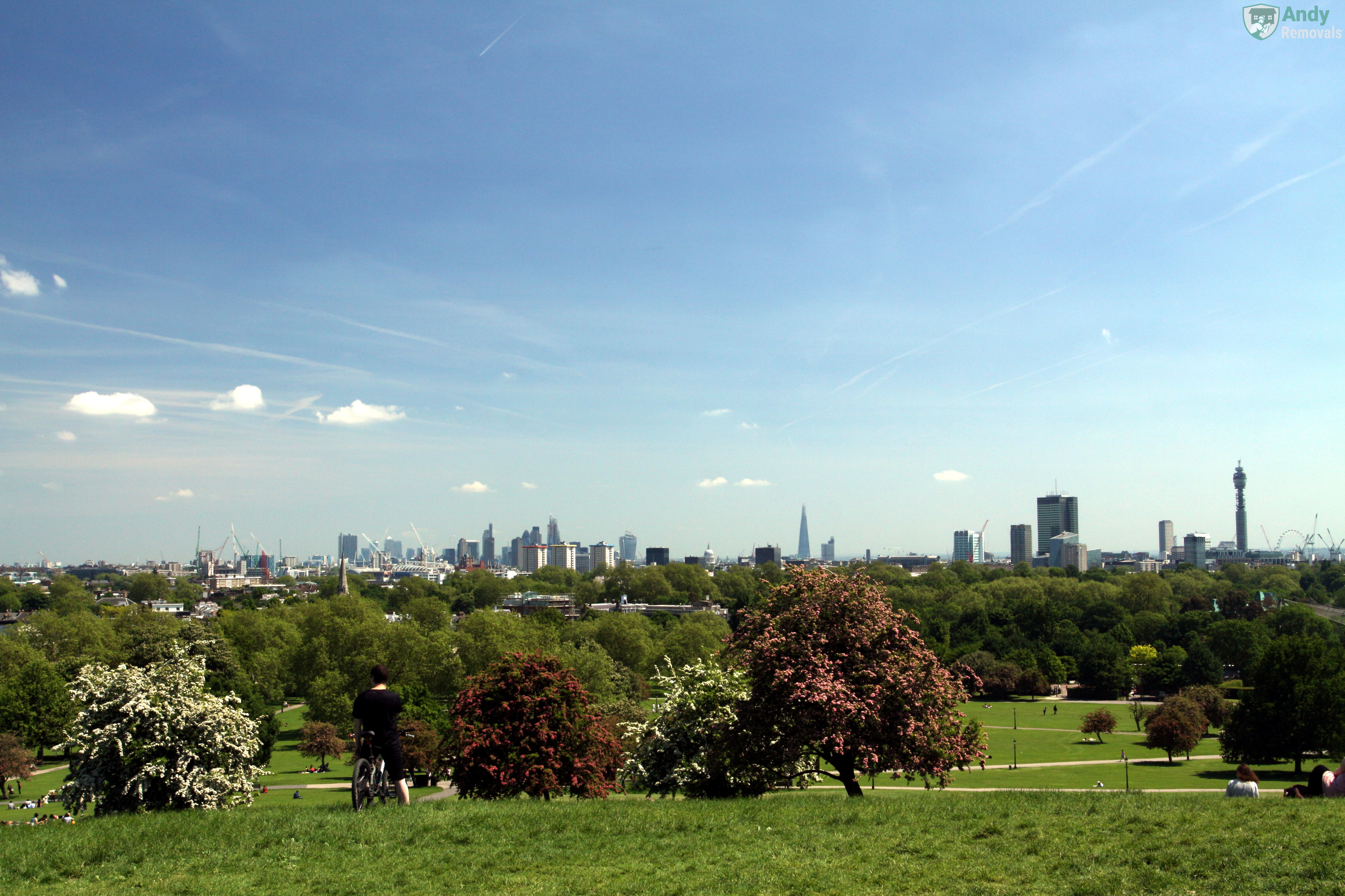 Andy Removal Primrose Hill (NW1, NW3, NW8)